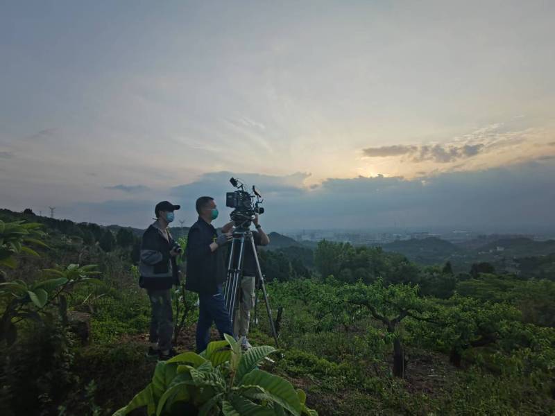 创意破圈！当涂县电商产品宣传视频用故事化叙事引爆流量