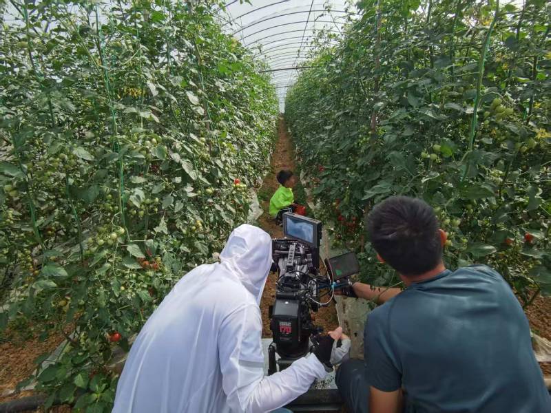 当涂县产品宣传视频拍摄公司进阶指南，助力品牌抢占传播高地